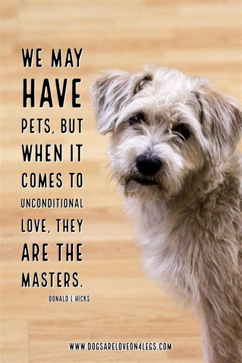 Dog Quote - We may have pets.... Dog, Dog Quotes Inspirational Quotes ...