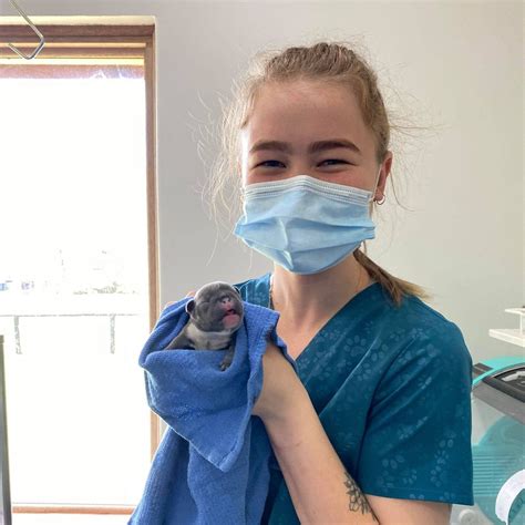 Meet our new nurse Jess! She's... - Swan Valley Vet Centre