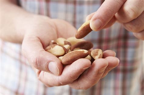 Myth or Fact: Do nuts make you fat? – Pekant