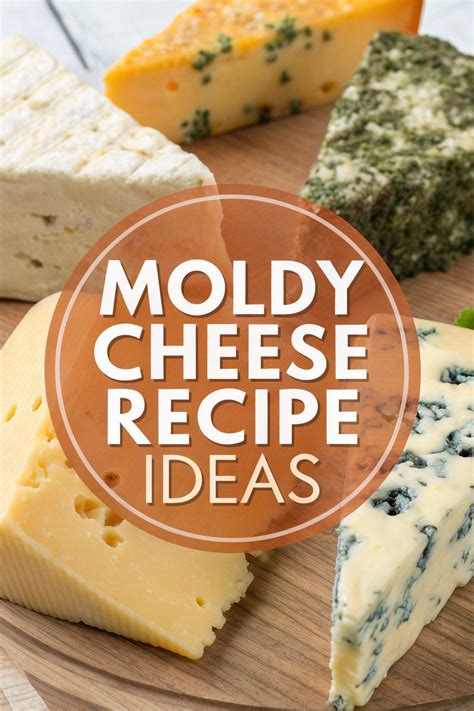 17 Moldy Cheese Recipe Ideas for an Adventurous Palate