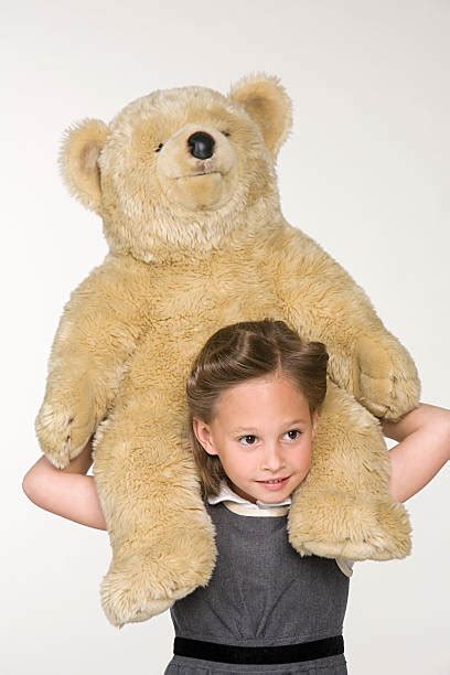 toys tedy bear stock  pictures royalty  images istock