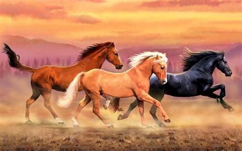 wild horses wallpapers top  wild horses backgrounds wallpaperaccess