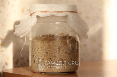Закваска для хлеба на капустном рассоле — рецепт с фото пошагово