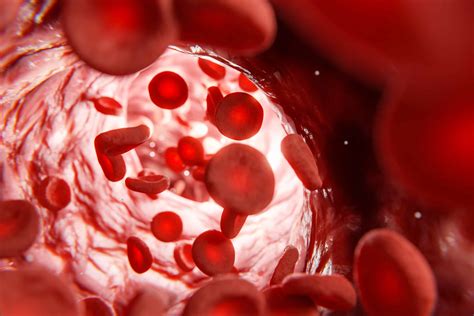 Hypotension: Symptoms & Causes of Low Blood Pressure | STC