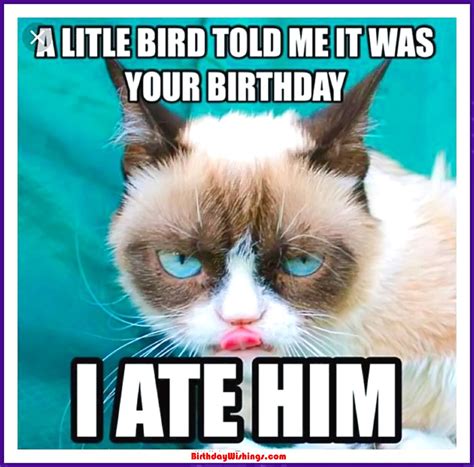 Funny Happy Birthday Memes With cats, Dogs & Funny Animals