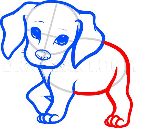 how to draw a beagle puppy