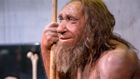 Humans And Neanderthals Hooked Up Three Times. Here’s Where It Happened ...