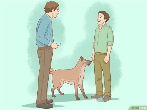 how to stop a dog from jumping up on strangers