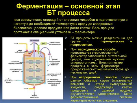 Промышленная микробиология, ферментеры и ферментация - презентация онлайн