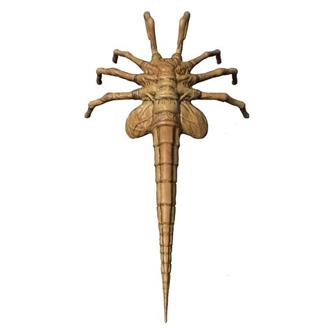 Facehugger Fandom at Henry Copeland blog