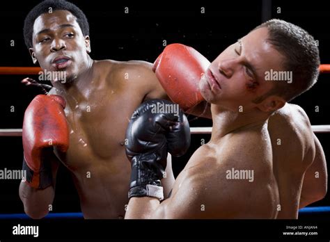 close   boxers fighting   boxing ring stock photo alamy