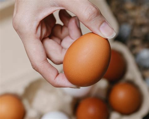 Pâques : 3 expériences scientifiques avec un œuf