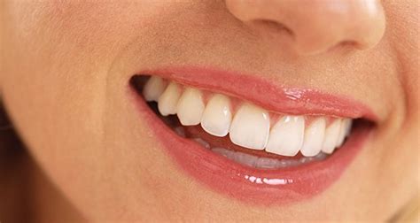 teeth facts  interesting facts  teeth kickassfacts