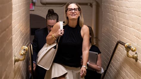 Opinion | Meet Kyrsten Sinema, Former Democrat of Arizona - The New