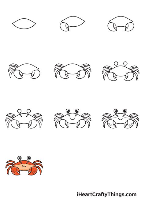 Crab Drawing — How To Draw A Crab Step By Step