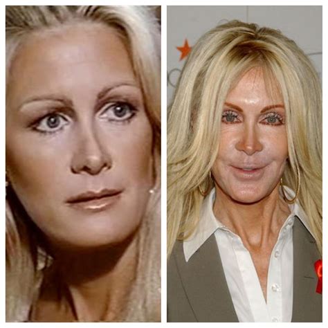 unveiling  enchanting life  career  joan van ark