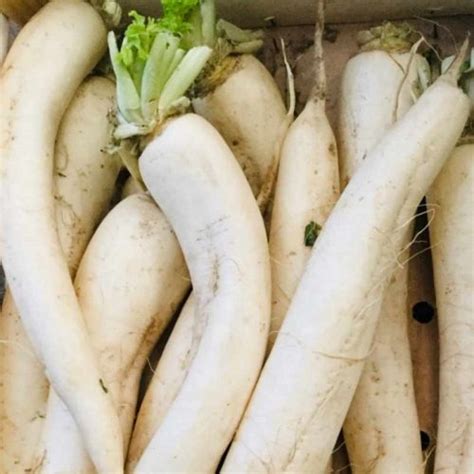 mooli troops fruit veg