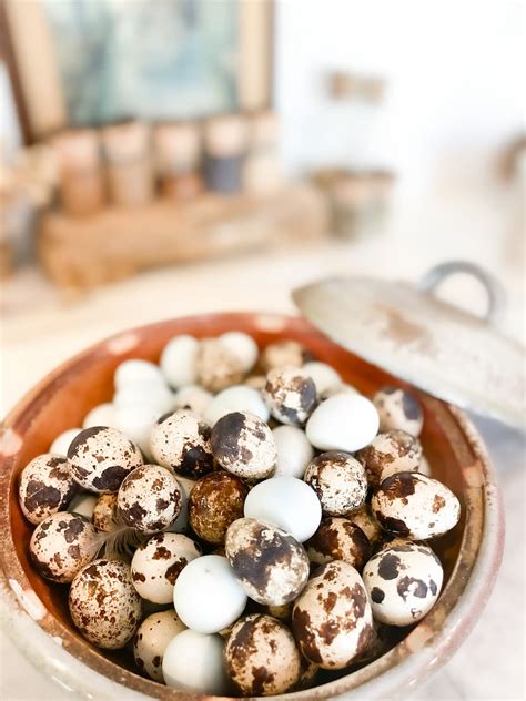 how to cook quail eggs 5
