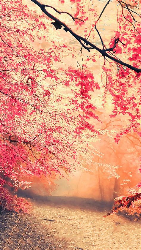 nature phone backgrounds 1
