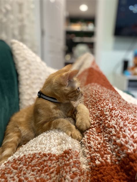 NUNU NELLZ (@nunuu_nellz) / Twitter