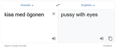 Google Translate kan det här med översättningar : r/sweden