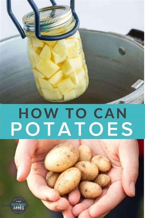 Canning Potatoes {How to Can Potatoes} - Sustainable Cooks