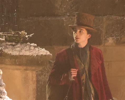 Timothée Chalamet Wants ‘Uncynical Young’ Audiences to Love ‘Wonka ...