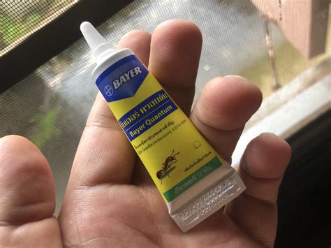 How to Get Rid of Ants in Thailand | Best Thai Ant Killers