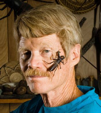 What is the schmidt sting pain index?