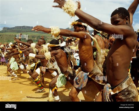 Zulu dancing Stock Photo: 4885273 - Alamy