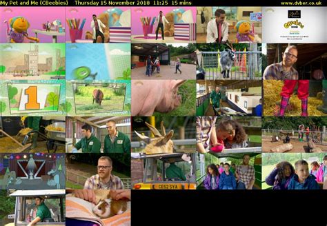 My Pet and Me (CBeebies) - 2018-11-15-1125