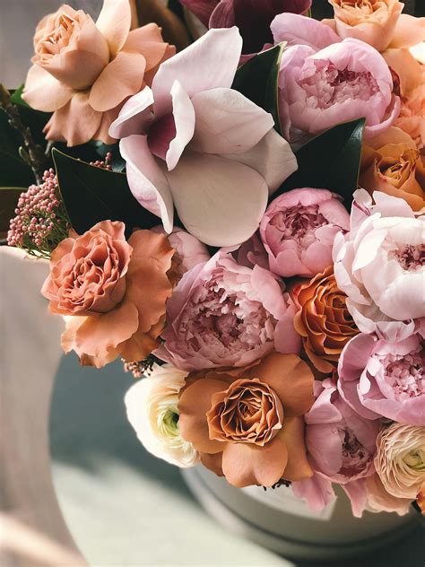Flower Identifier – Instantly Recognize Flowers by Image with AI