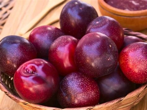 types  plums  varieties insanely good