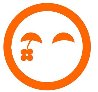 tudou embed provider embedly