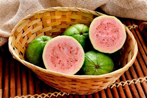 manfaat jambu biji  jangan sampai dilewatkan