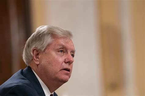 graham  meet  trump  talk future  gop politico