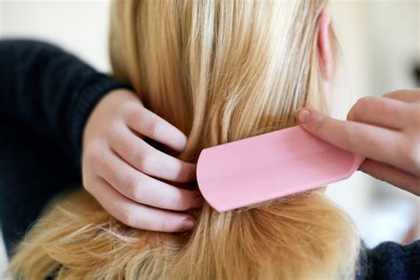 diy hair care tips  maintaining     pandemic