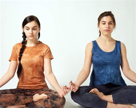 Our brain in Meditation – Steel Pony