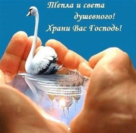 Открытки душевные (28 фото)