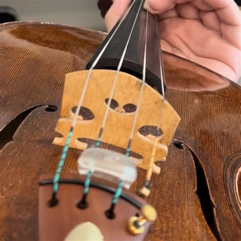 What does it take to win an orchestra audition? — The Viola Pro