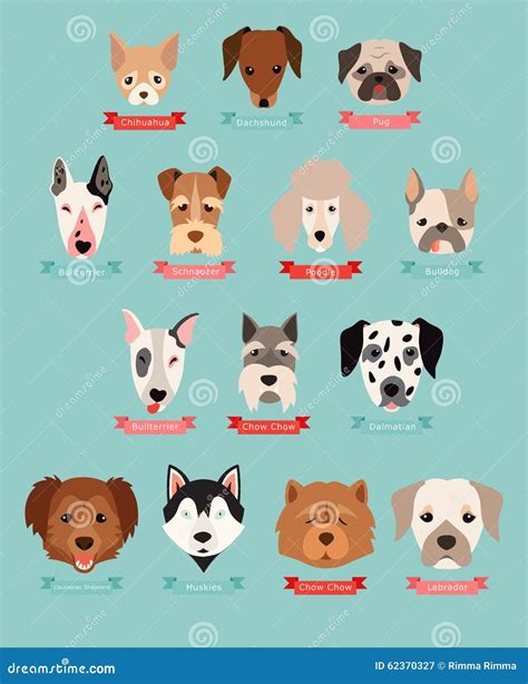 Dog Breeds Collection with Ribbon and Name Stock Vector - Illustration