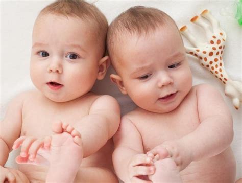 Gêmeos Bivitelinos E Univitelinos - Qual é a diferença entre gêmeos univitelinos e bivitelinos