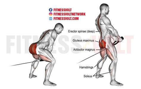 unlock  glutes master  cable pull  exercise fitness volt