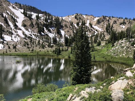 Why the unique lake catherine ecosystem is now protected 28