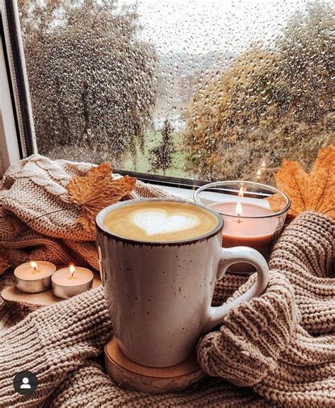 a cup of coffee sitting on top of a window sill next to autumn leaves