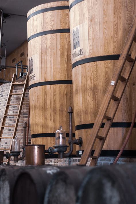 Field Trips: Dutch Genever (Jenever) Distilleries | Alcohol Professor