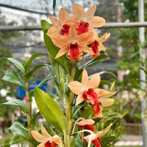 10 Things You NEED To Know About The JenBretty Leak Aftermath - Truth