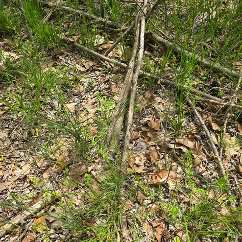 Ashley Anders - I spy with my two blind eyes, a delicious... | Facebook