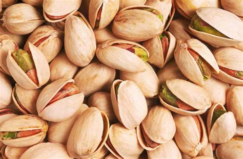 Pistachio Benefits Protein Unsalted No Shell + Pistachio Growing - Arad ...