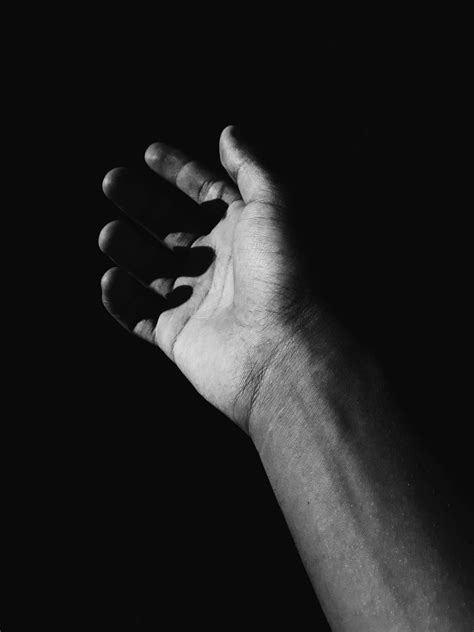 human arm  stock photo